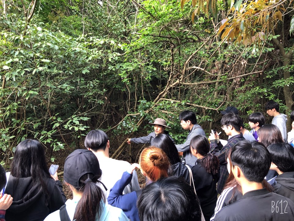 2019 춘계 정기학술답사